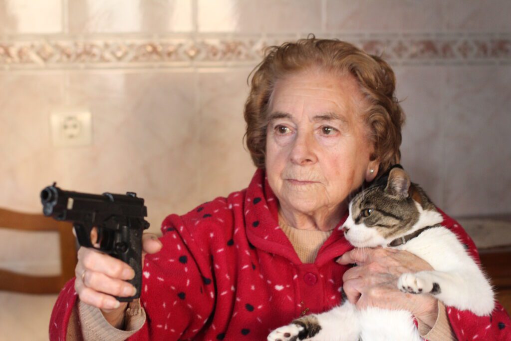 home defense weapons training