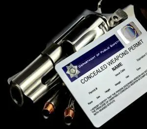 Florida Constitutional Carry vs Concealed Carry