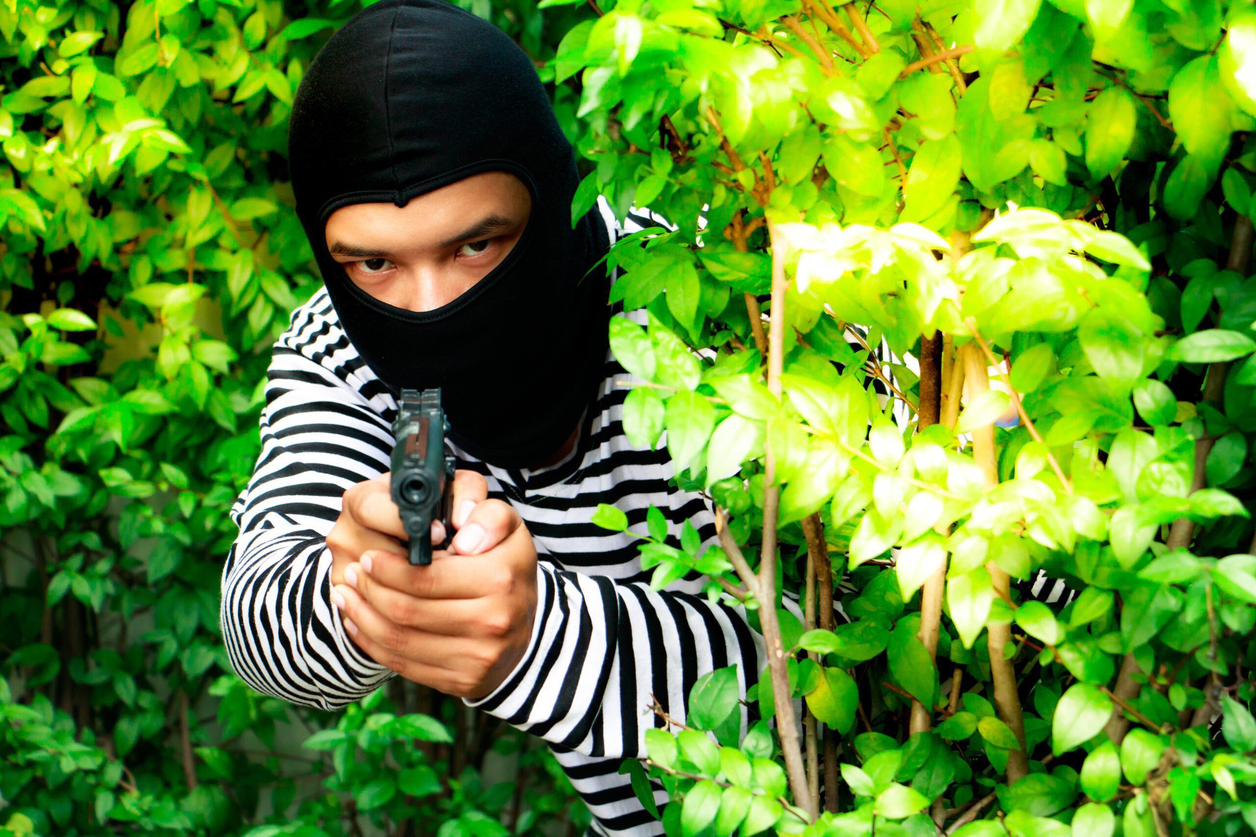Defensive shooter behind bushes showing concealment rather than true ballistic cover